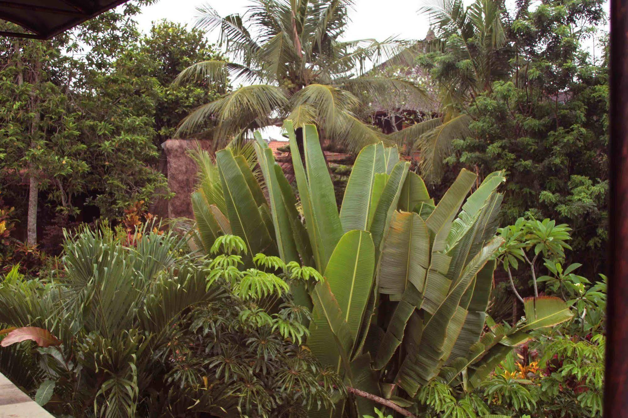 Hotel Garden View Ubud Esterno foto